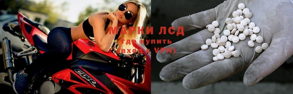 ПСИЛОЦИБИНОВЫЕ ГРИБЫ Аркадак