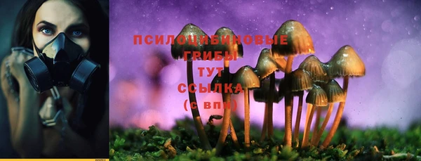 соль курить ск Арсеньев