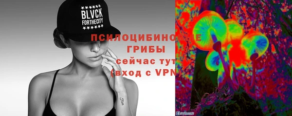 ПСИЛОЦИБИНОВЫЕ ГРИБЫ Аркадак