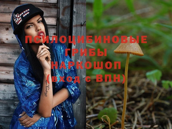 ПСИЛОЦИБИНОВЫЕ ГРИБЫ Аркадак